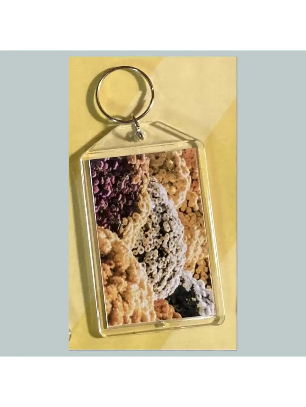 3681 Chrysanthemums Acrylic Keychain | Floral Keychain | Flower Lover Gift